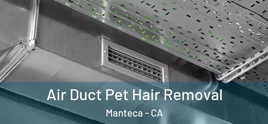 Air Duct Pet Hair Removal Manteca - CA