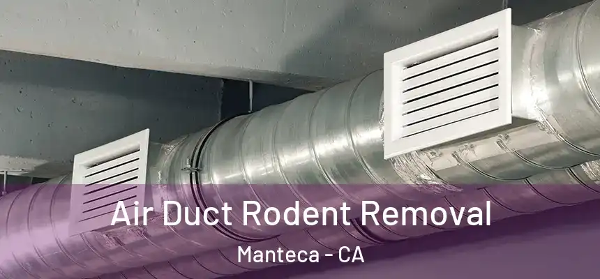Air Duct Rodent Removal Manteca - CA