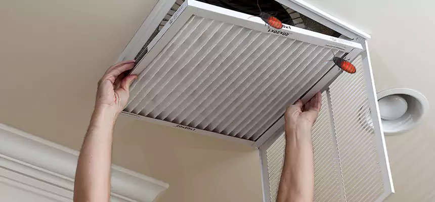 Preventive Cockroach-Proofing for Ducts in Manteca
