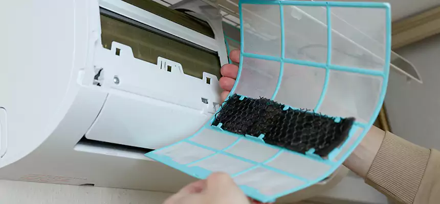 Gentle Ductwork Odor-Control Pet Dander Duct Cleaning in Manteca, CA