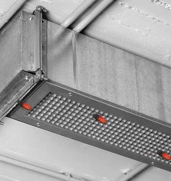 Affordable Insect Removal from Air Ducts in Manteca, CA