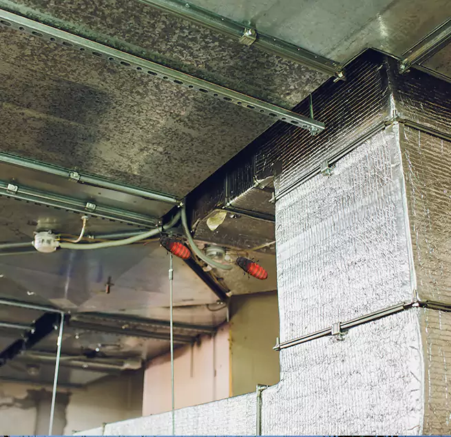 Why Homeowners & Businesses Trust Us in Manteca, CA?