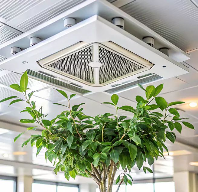 Why Homeowners & Businesses Trust Us in Manteca, CA